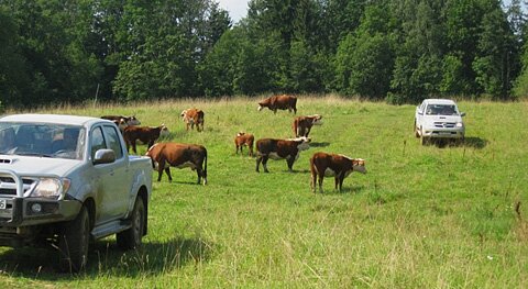 Natural Landscape Off Road Tour